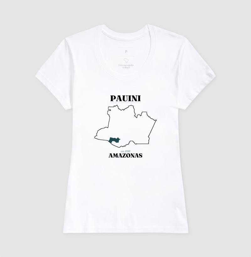 Pauini | Legado AM - Imagem 5