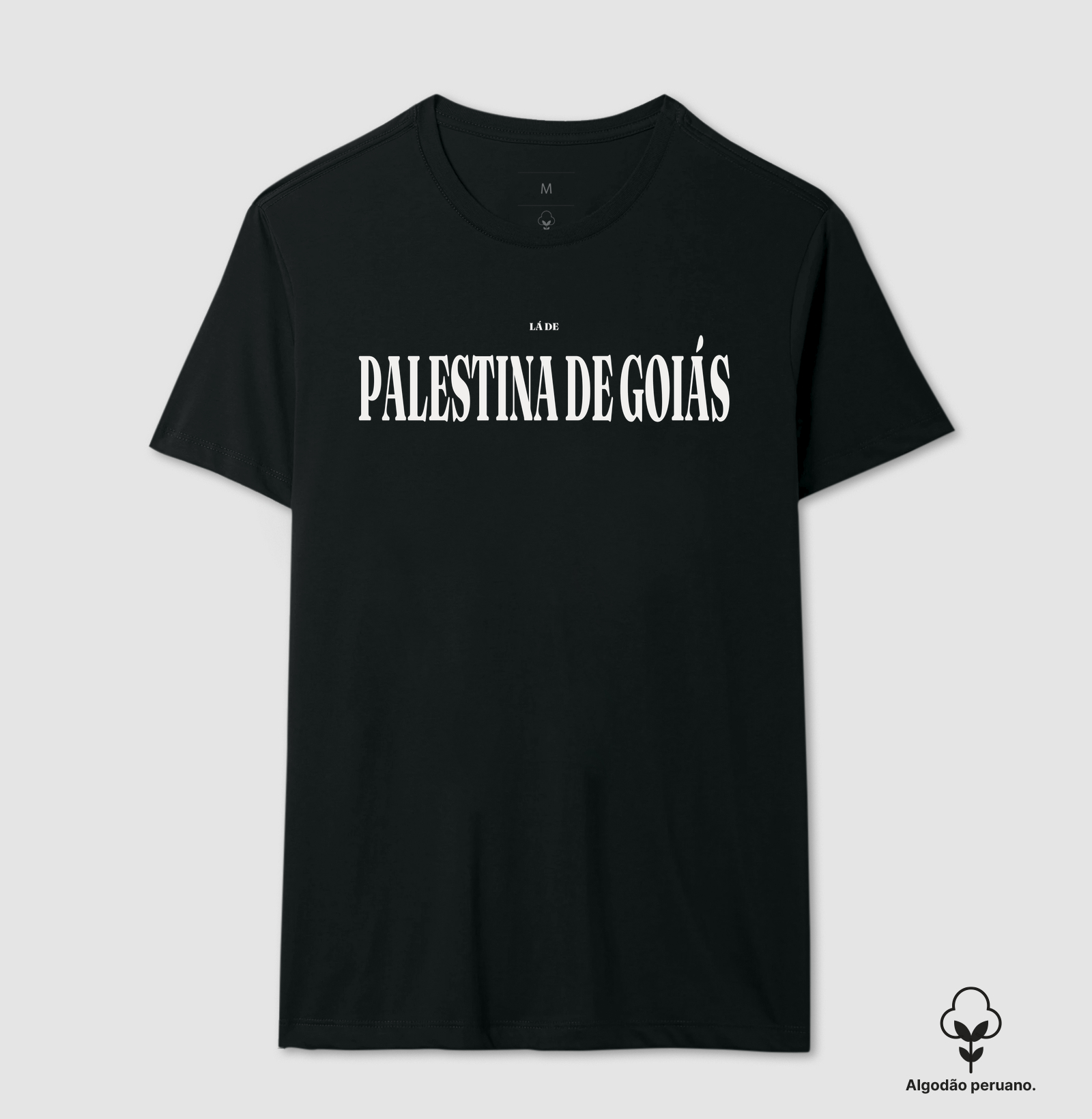 Palestina de Goiás | Tipografia GO - Imagem 6