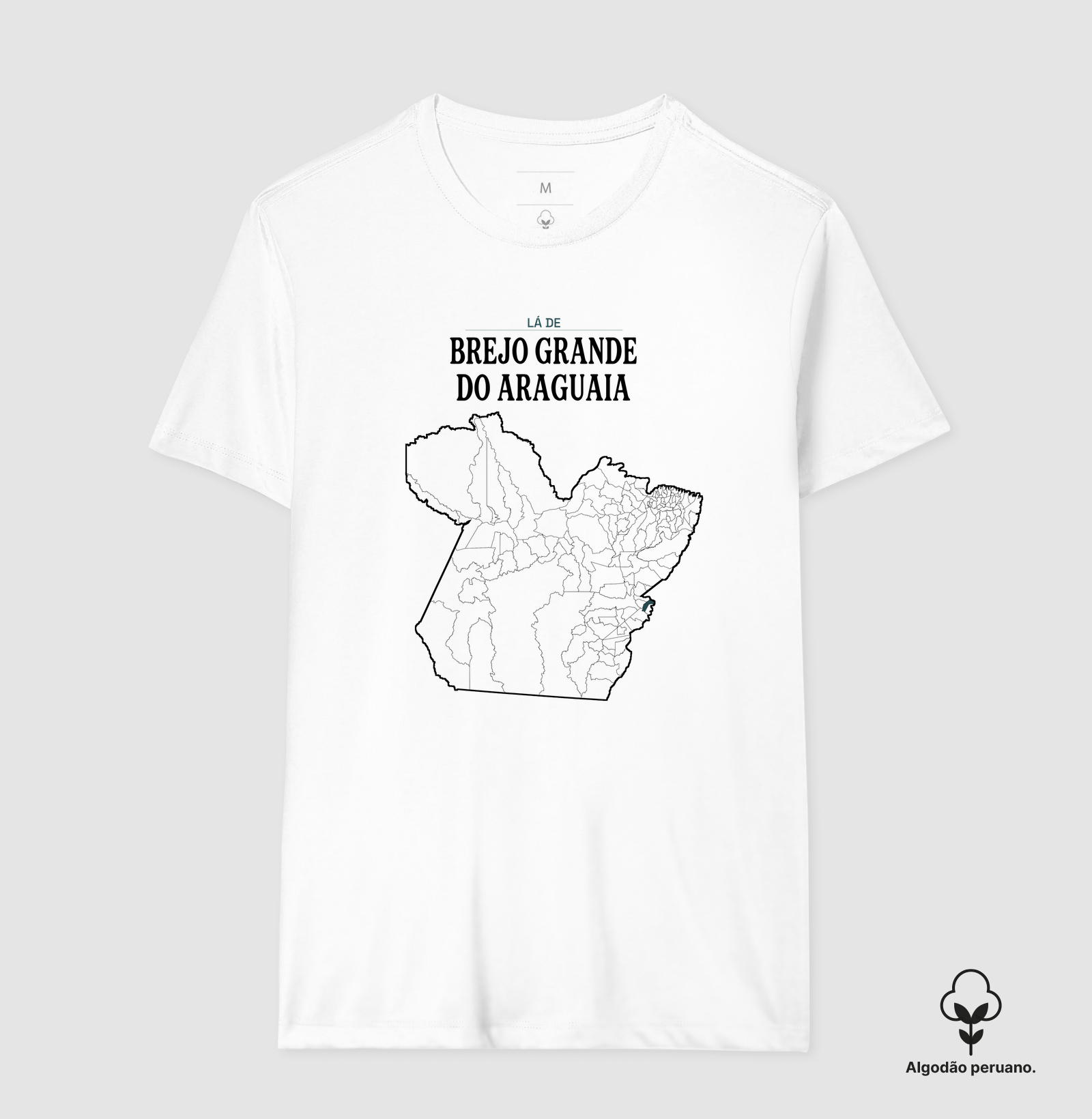 Brejo Grande do Araguaia | Território PA - Imagem 6
