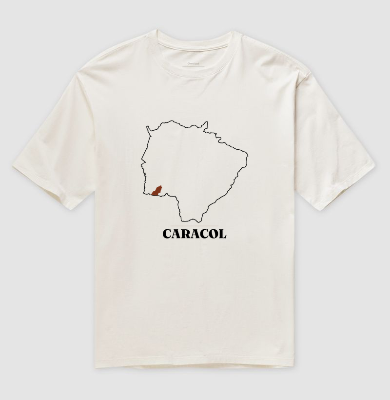 Caracol | Traço MS - Imagem 4