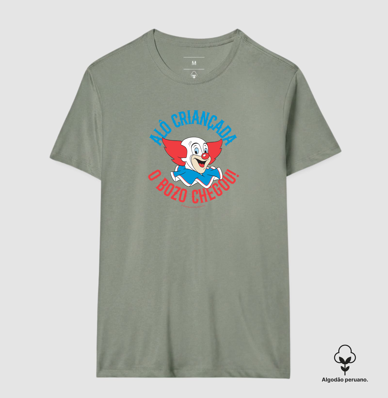 Camisa 1