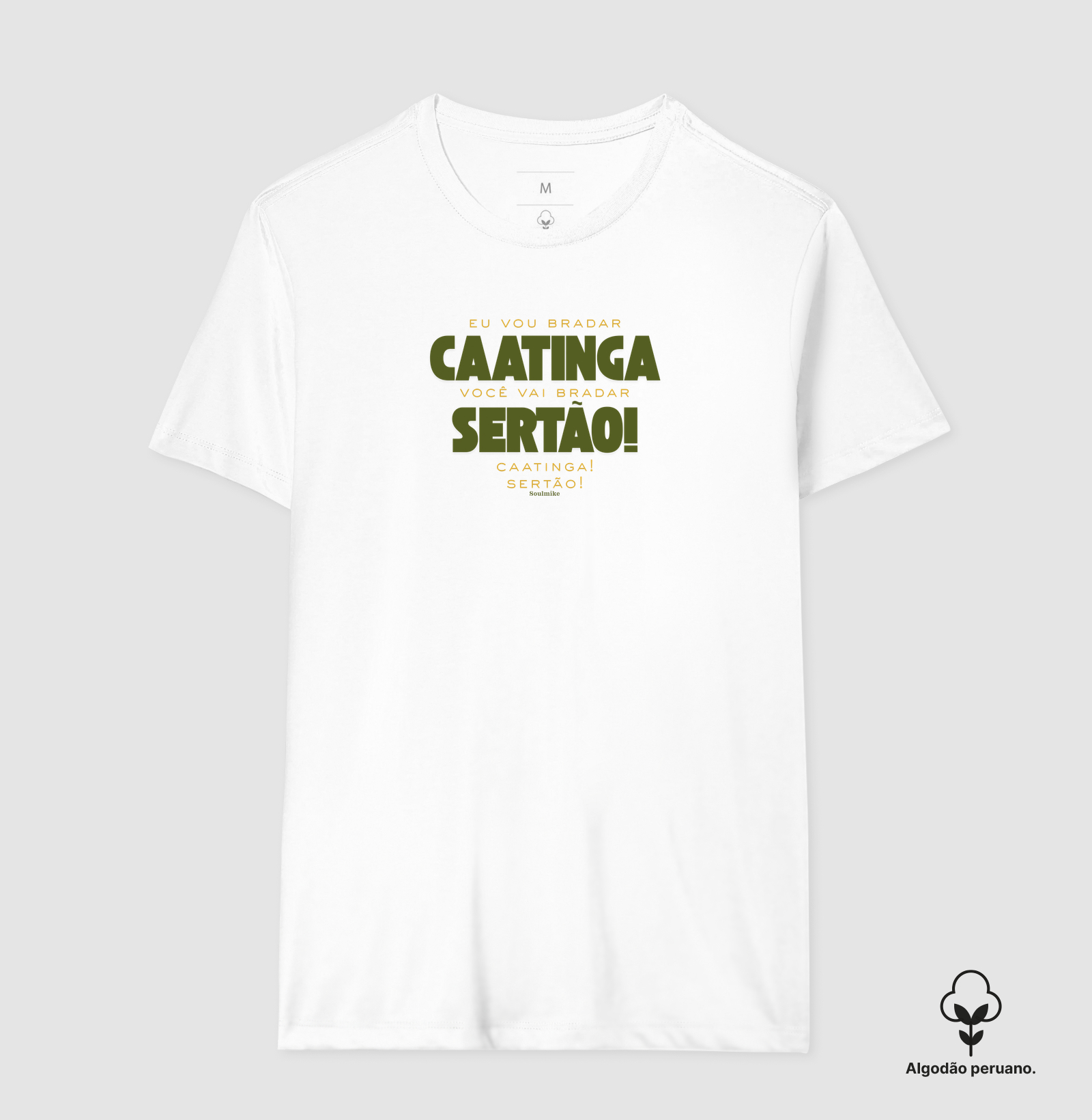 Eu vou bradar Caatinga - Imagem 8