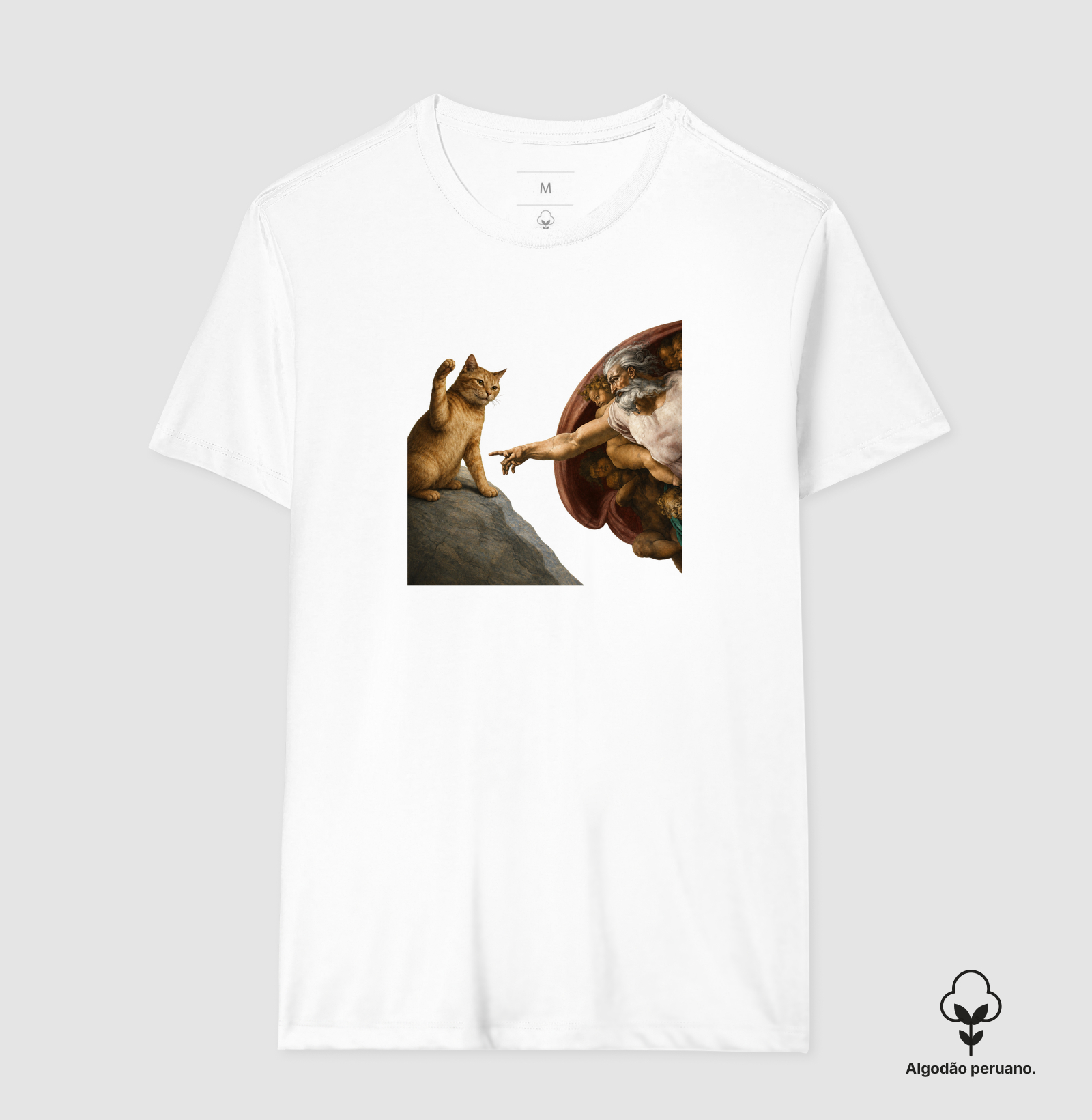 Michelangelo Orange Tabby - Imagem 6