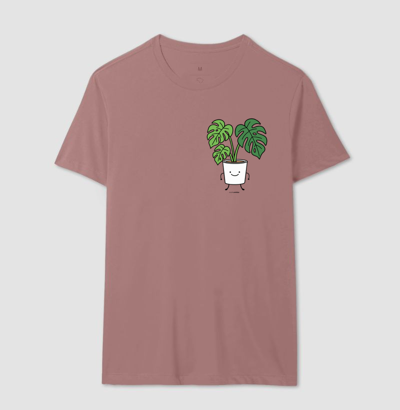 Monstera (Costela de Adão) - Imagem 13