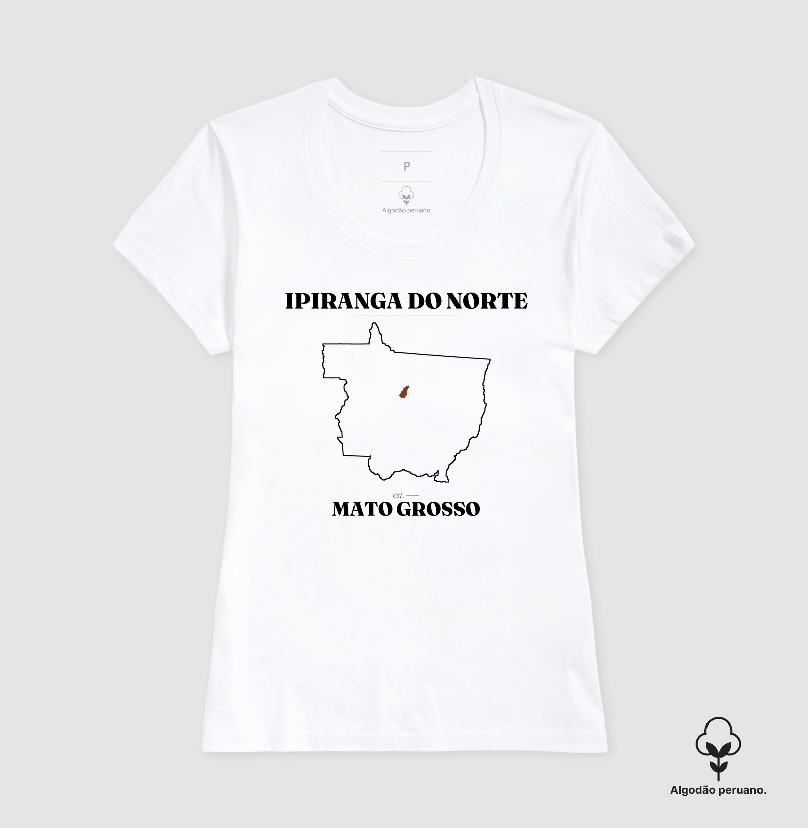 Camisa 2