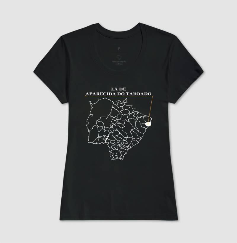 Aparecida do Taboado | Origem MS - Imagem 3