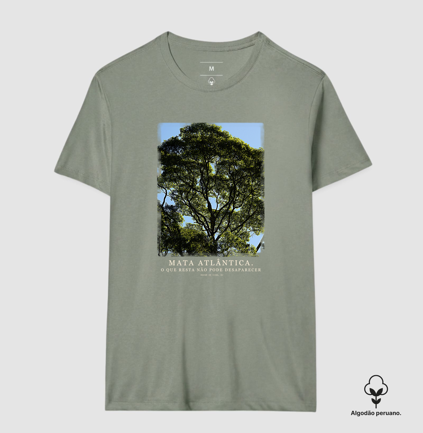 Mata Atlântica - Imagem 5