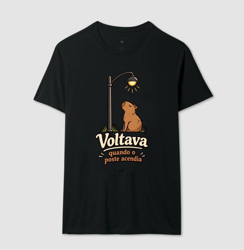 VOLTAVA QUANDO O POSTE ACENDIA - Imagem 4