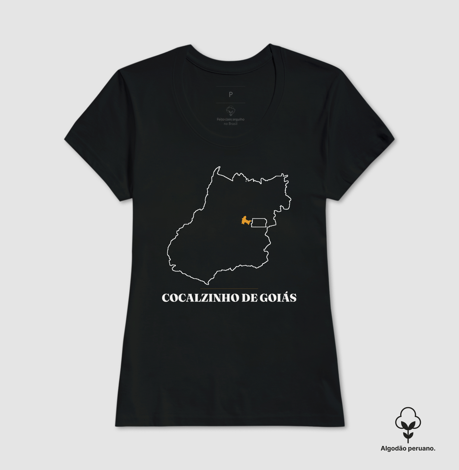 Cocalzinho de Goiás | Traço GO - Imagem 2