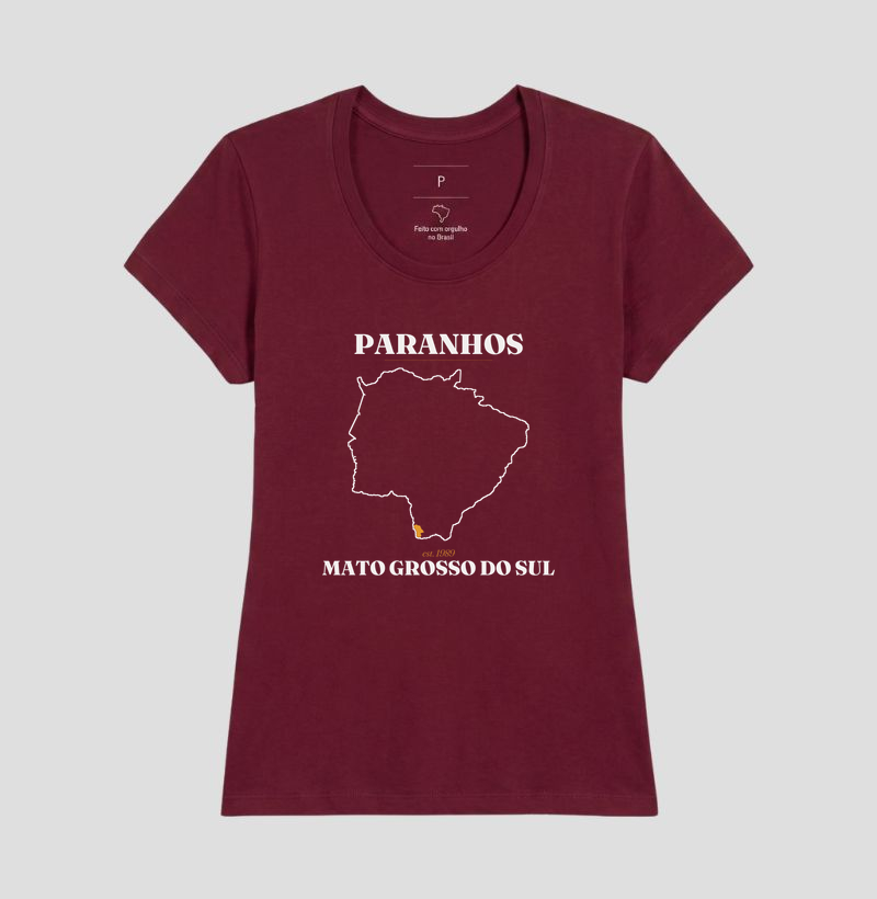 Paranhos | Legado MS - Imagem 19