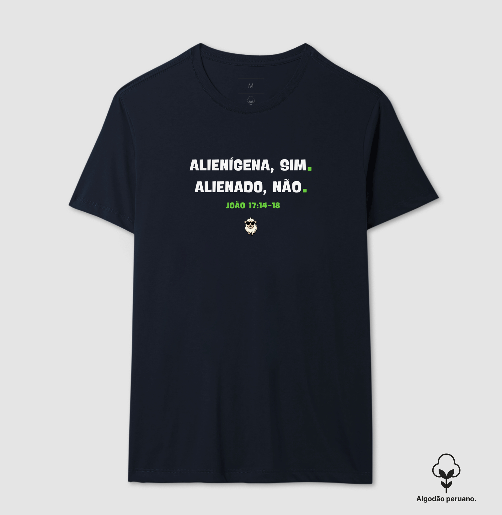 ALIENÍGENA SIM, ALIENADO NÃO - Imagem 6