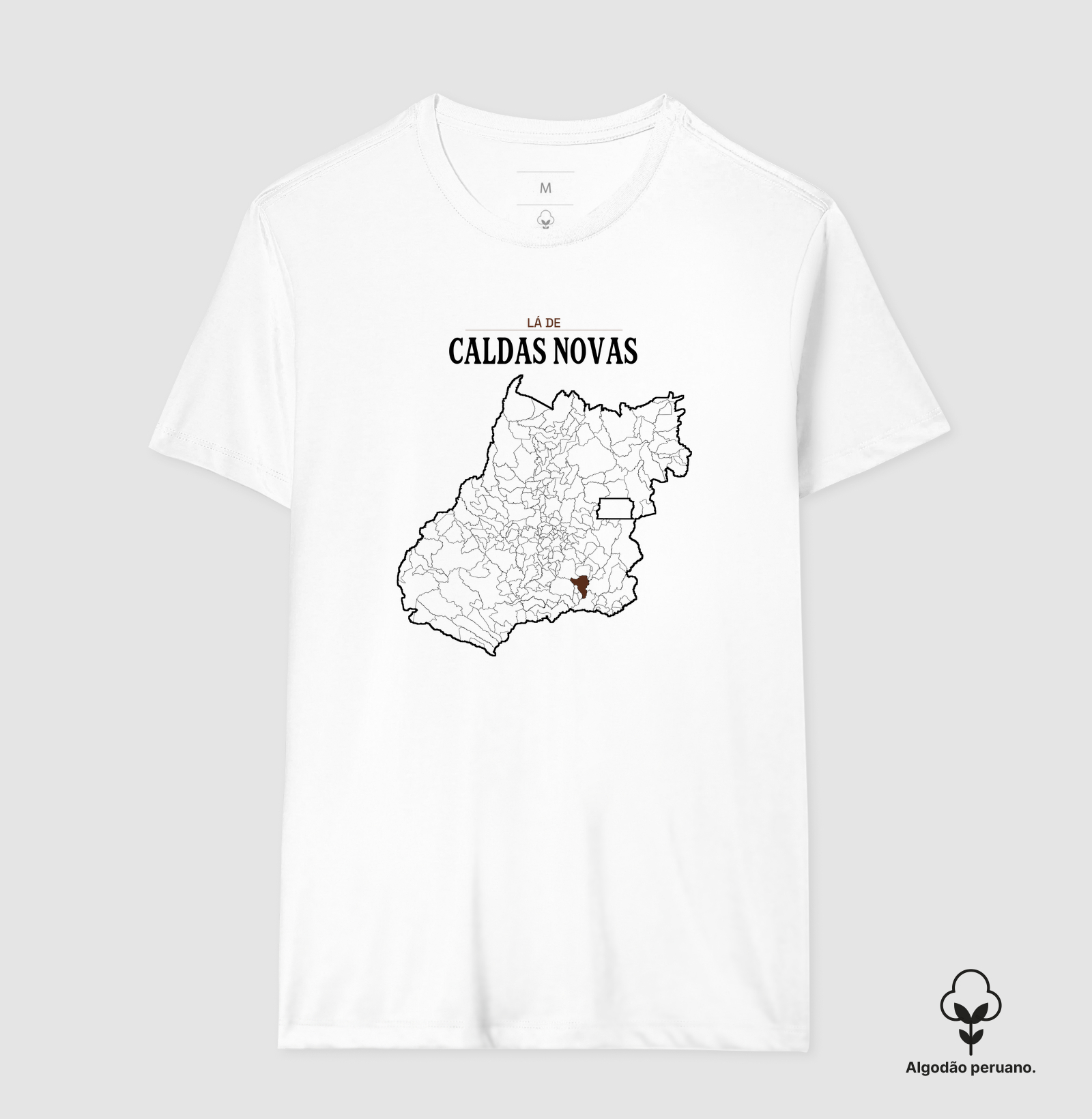 Caldas Novas | Território GO - Imagem 5