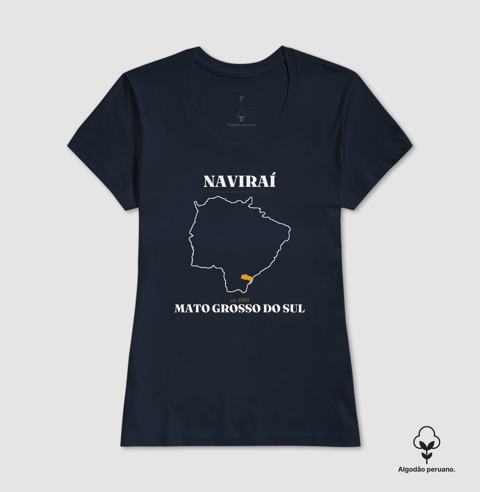 Naviraí | Legado MS - Imagem 4