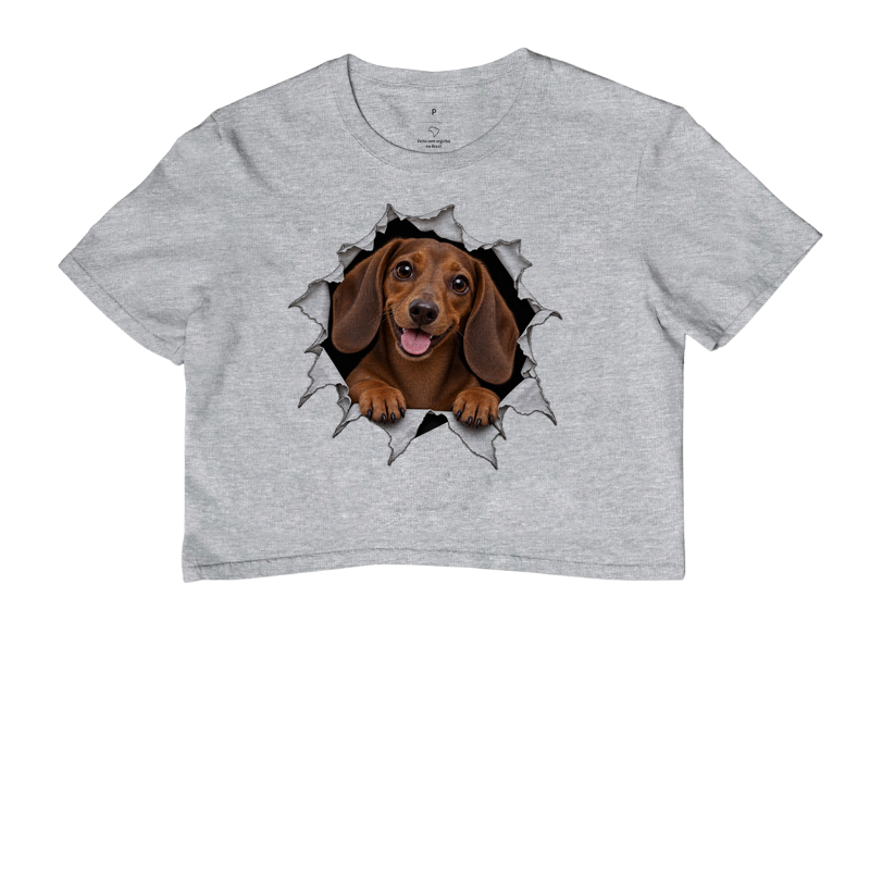 Dachshund Saindo Pelo Rasgo - Imagem 6