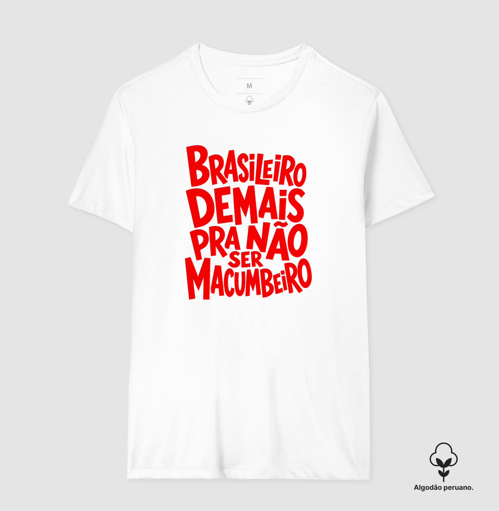 BRASILEIRO E MACUMBEIRO - Imagem 2