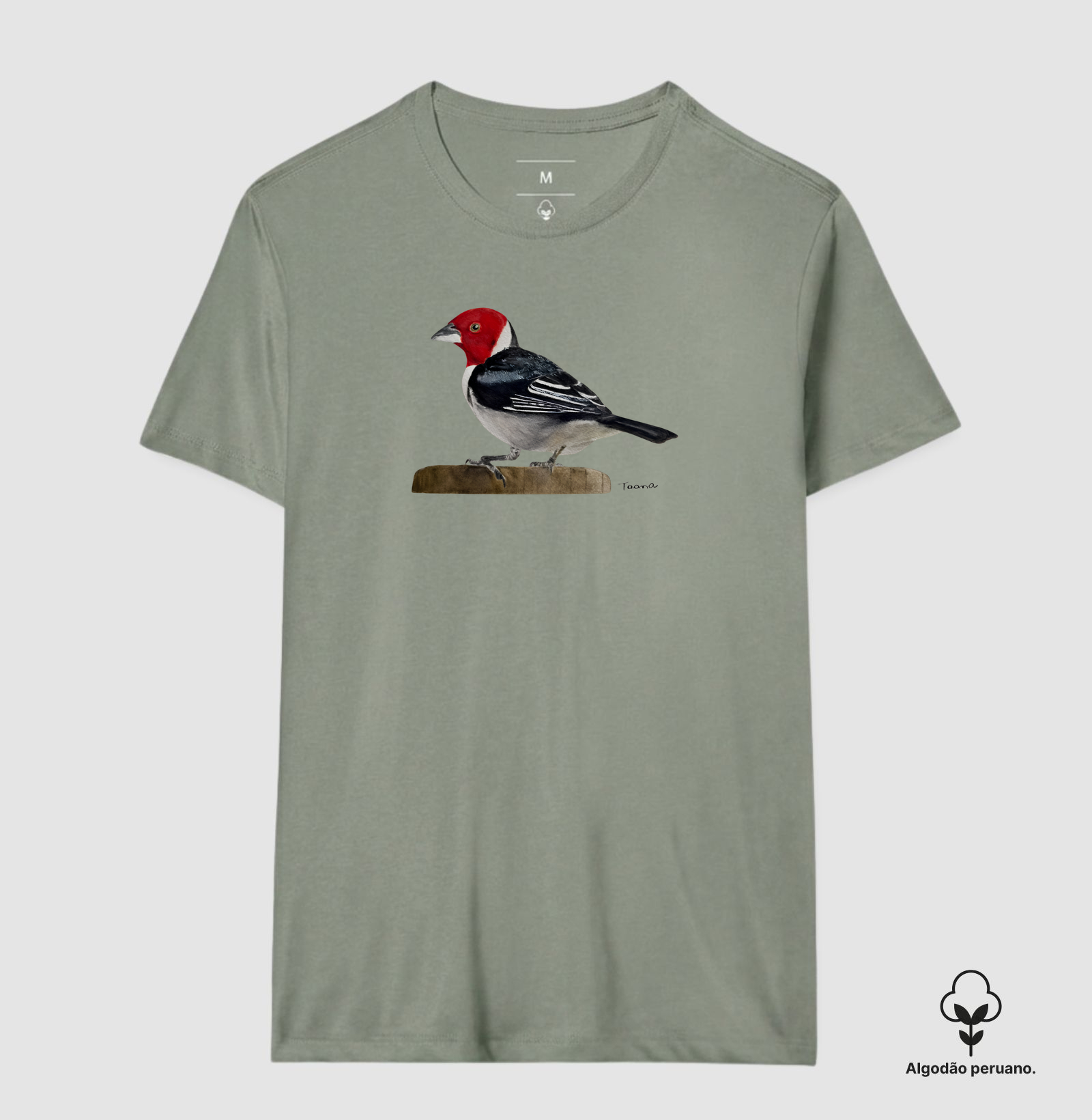 Camiseta Cardeal-do-Nordeste – Aves do Brasil Algodão Peruano - Imagem 11