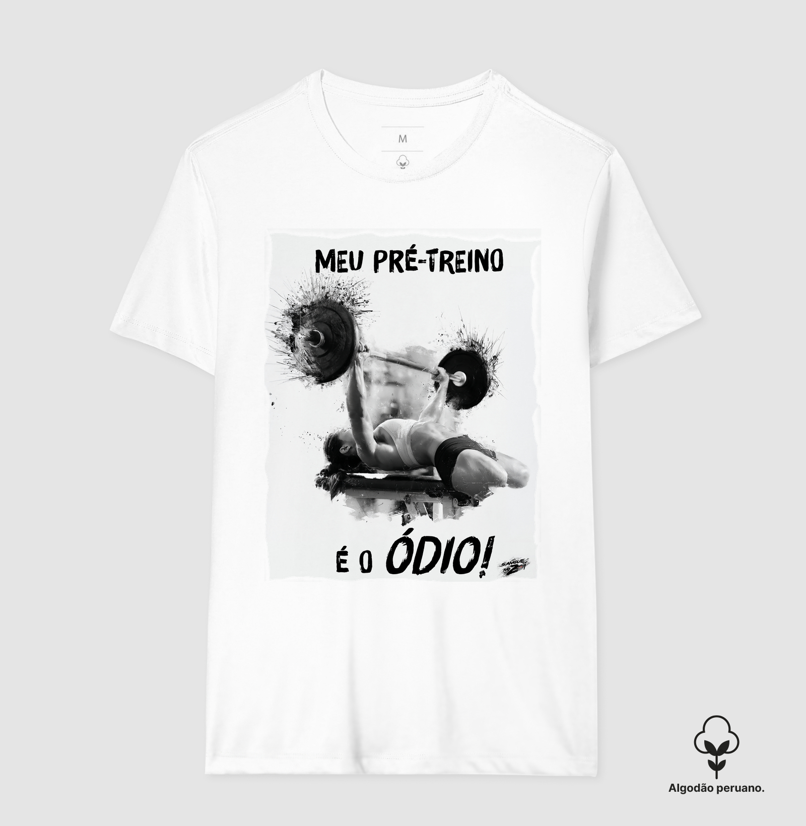 "MEU PRÉ-TREINO É O ÓDIO!". 03 - Imagem 4