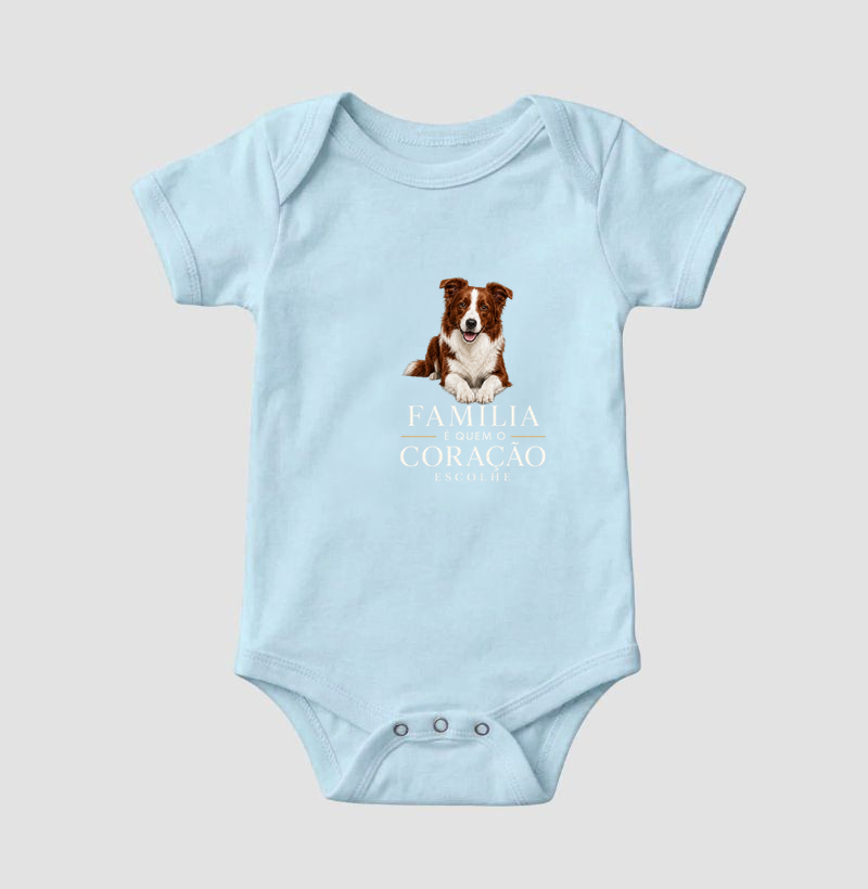 Border Collie Marrom - Família - Imagem 4