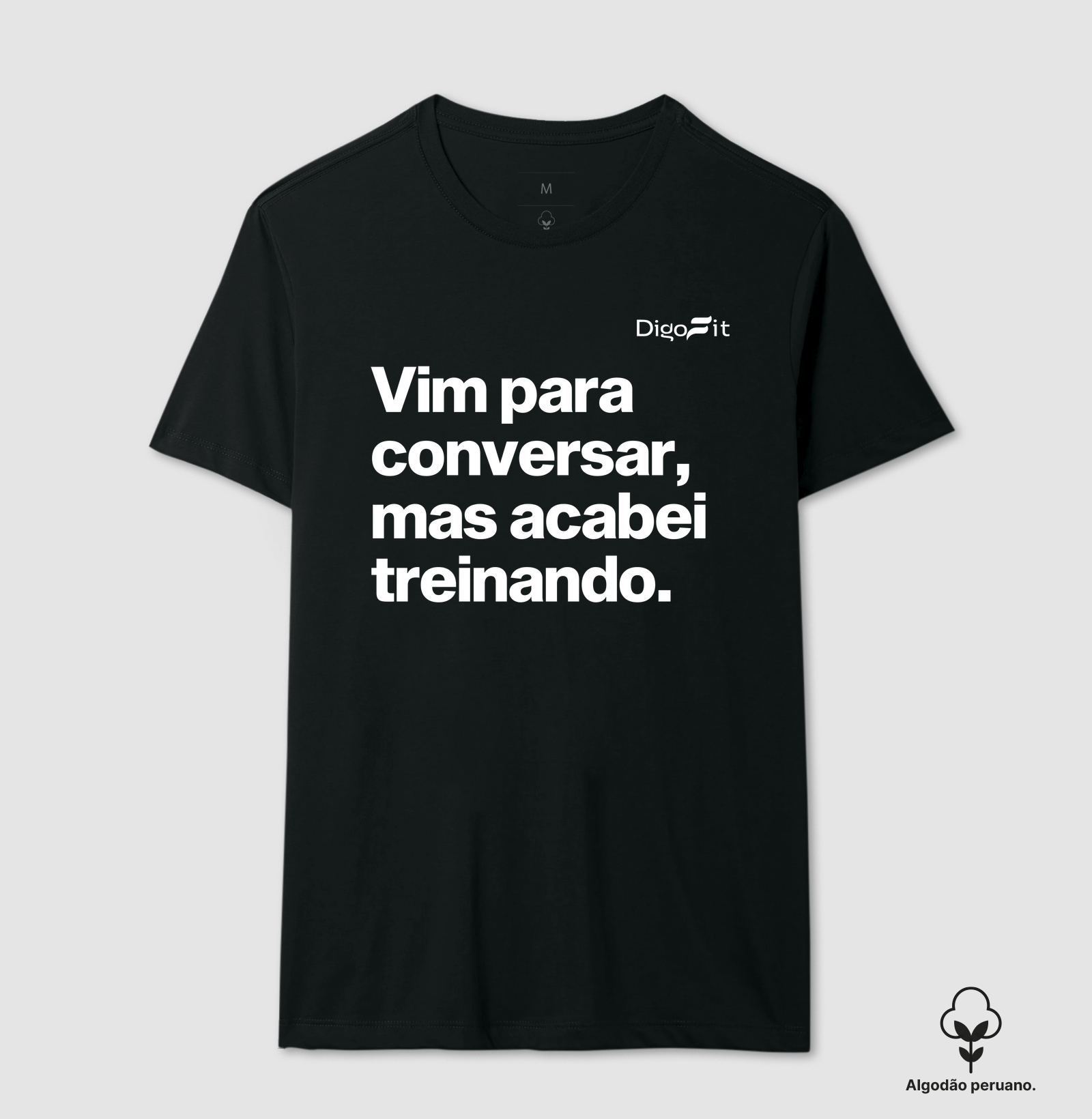 CAMISETA ALGODÃO PERUANO ACADEMIA VIM PARA CONVERSAR - Imagem 4