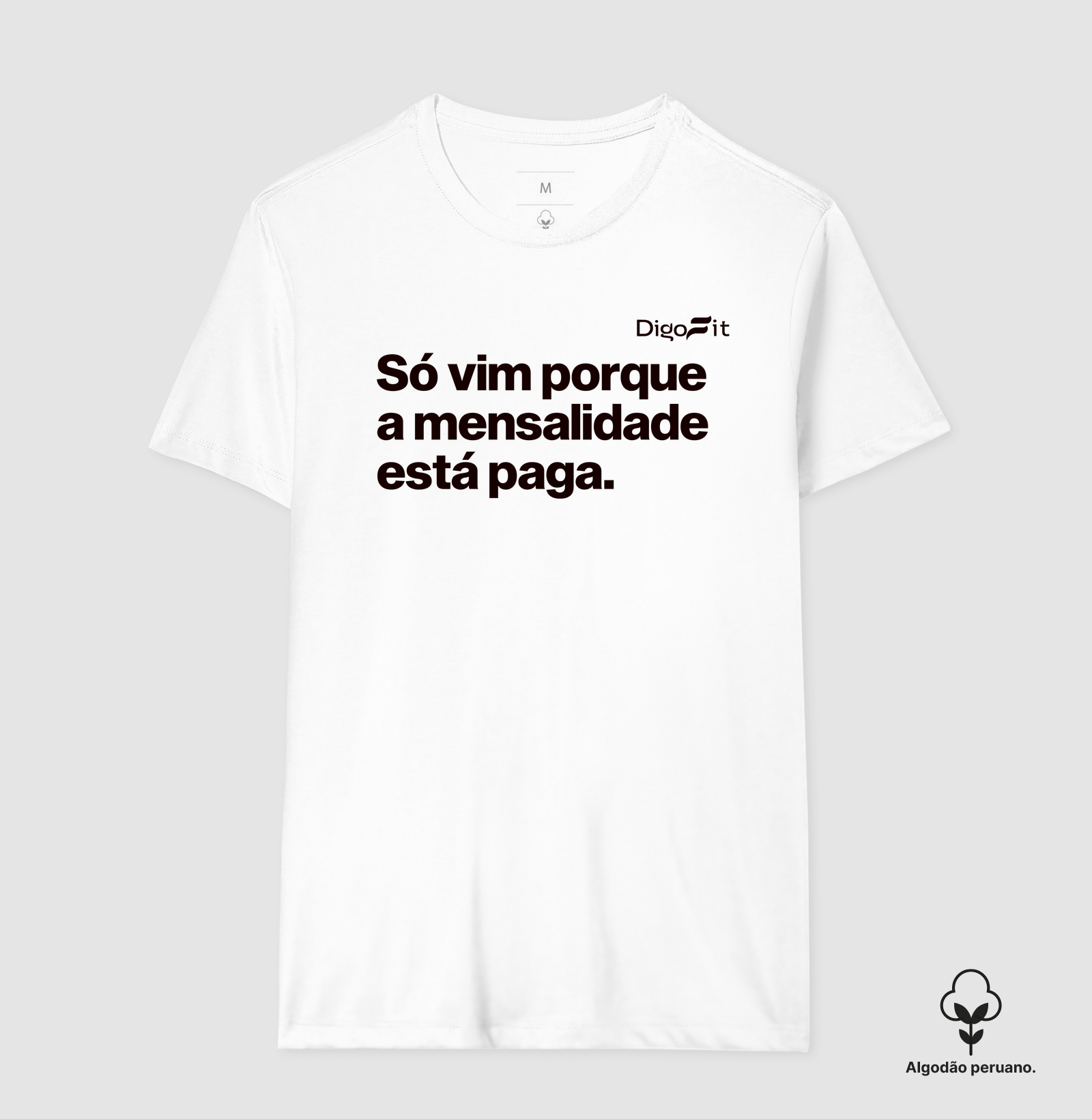 CAMISETA ALGODÃO PERUANO ACADEMIA SÓ VIM PORQUE A MENSALIDADE ESTÁ PAGA - Imagem 6
