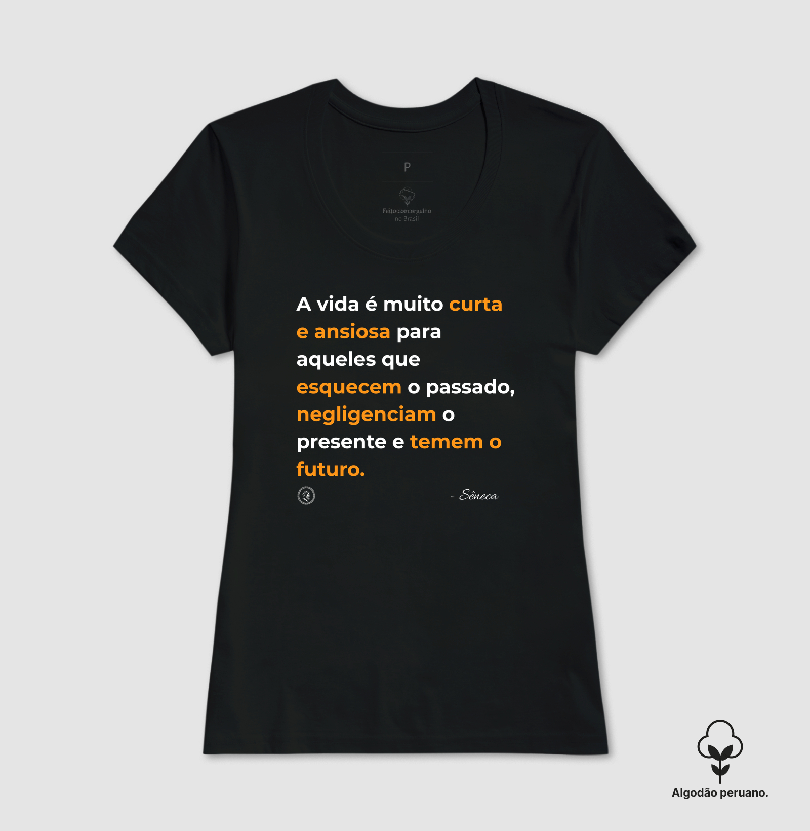 Estoicismo de Sêneca "A vida é muito curta" - Imagem 7