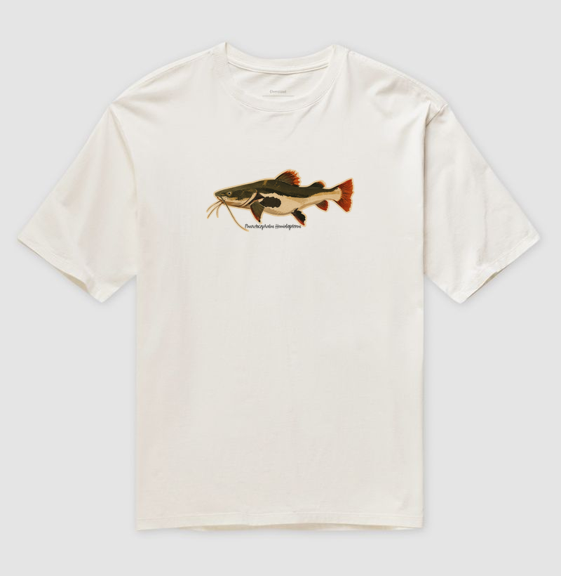 Pirarara 🐟 - Imagem 4