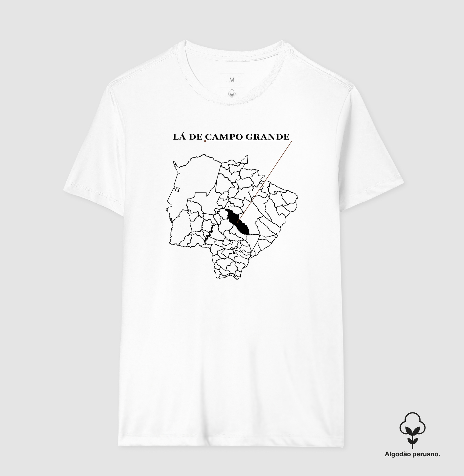 Campo Grande | Origem MS - Imagem 5