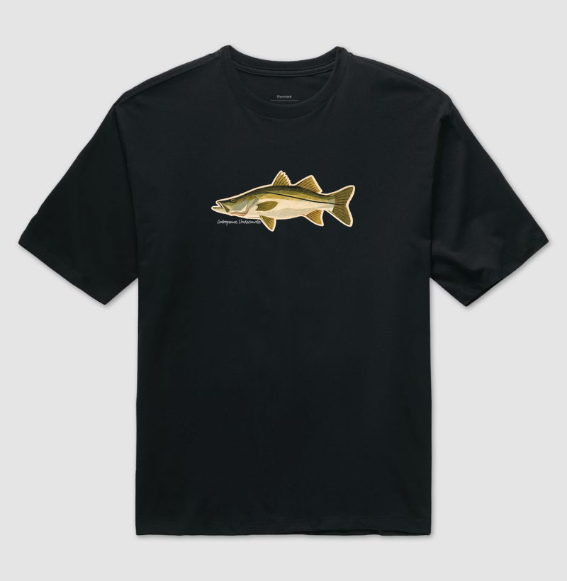 Robalo - Imagem 2