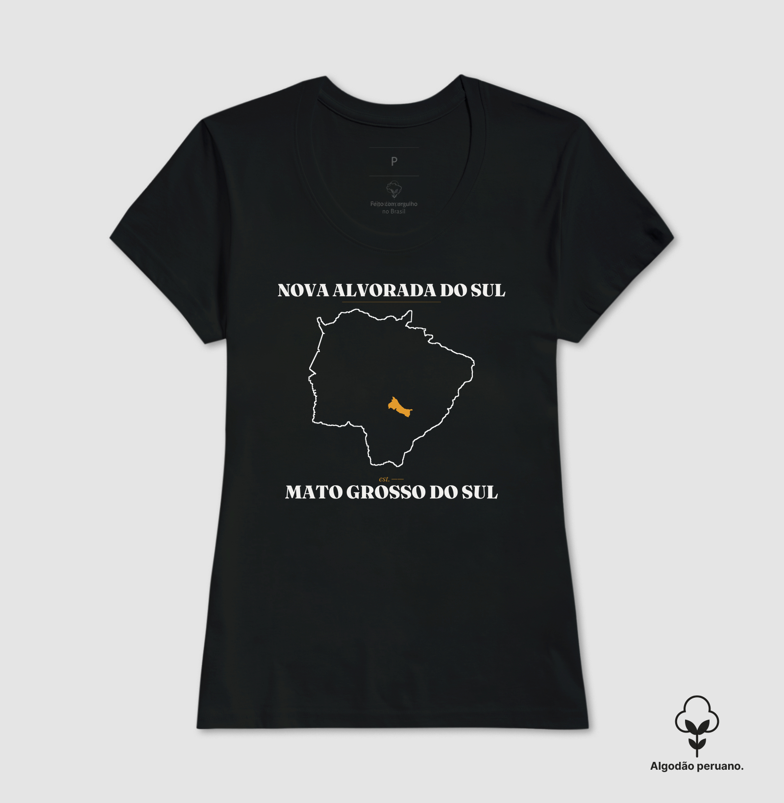 Nova Alvorada do Sul | Legado MS - Imagem 4