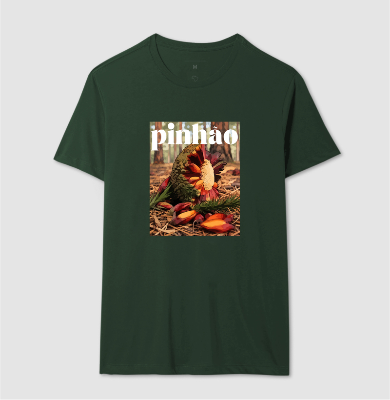 Pinhão - Imagem 12