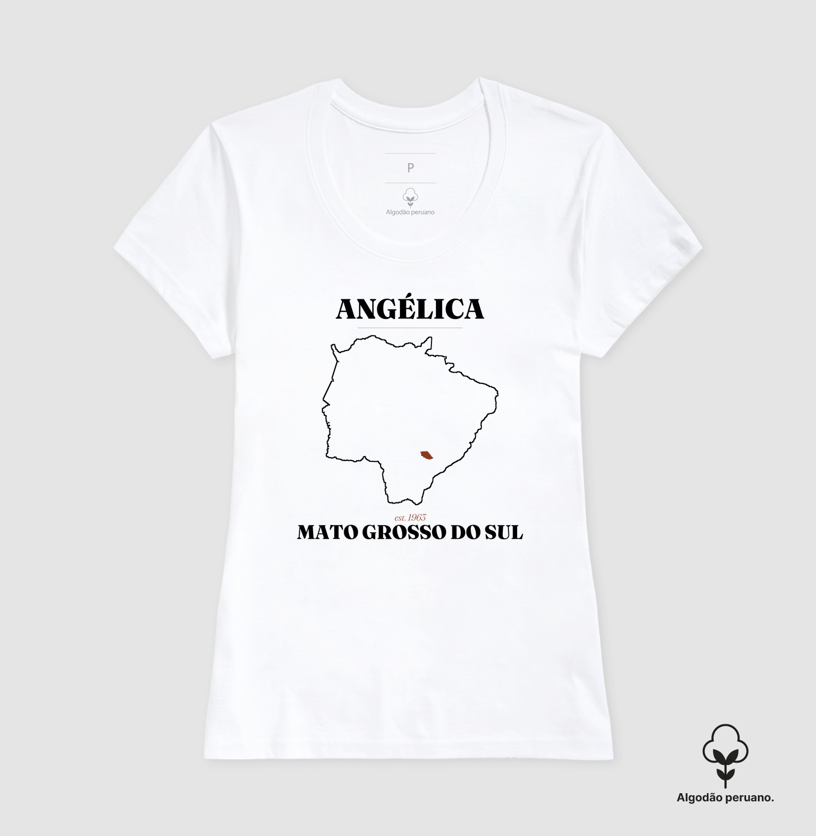 Camisa 1