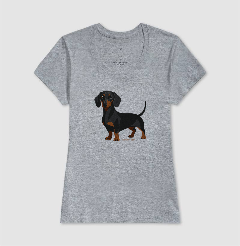 Dachshund - Imagem 5
