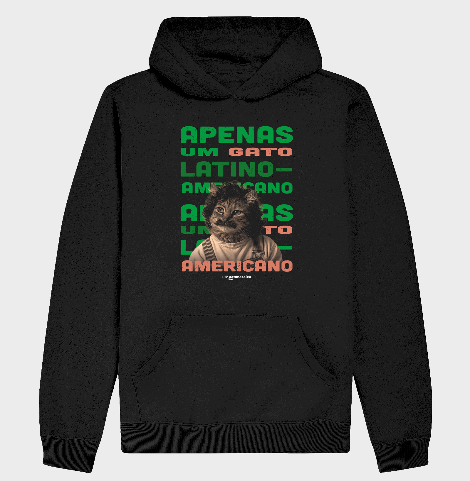 Apenas um gato latino-americano - Imagem 2