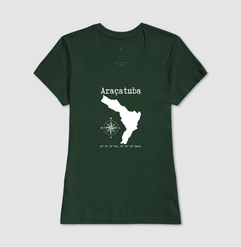 Araçatuba localização I - Imagem 16