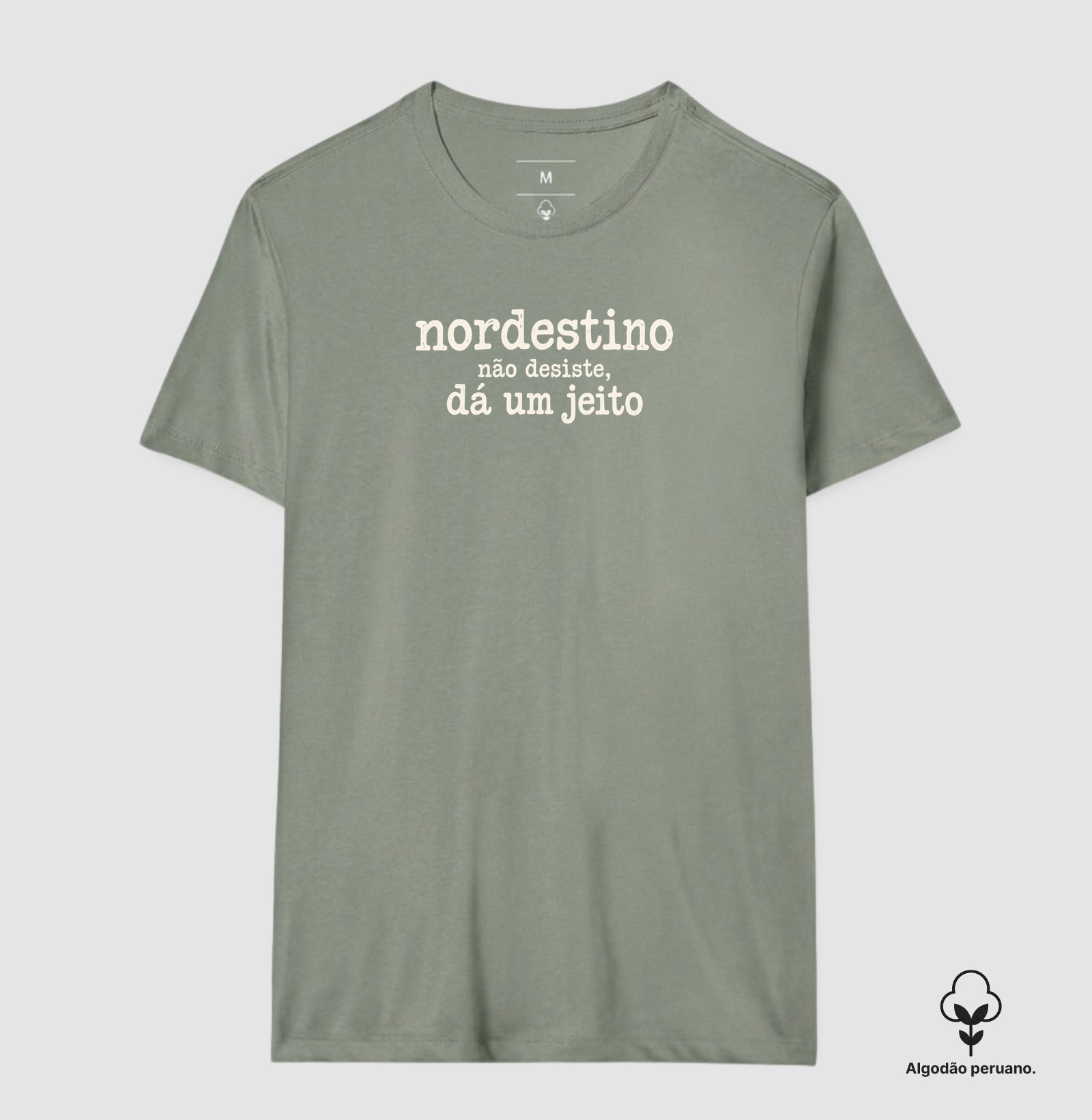 Nordestino não desiste, dá um jeito - Imagem 3