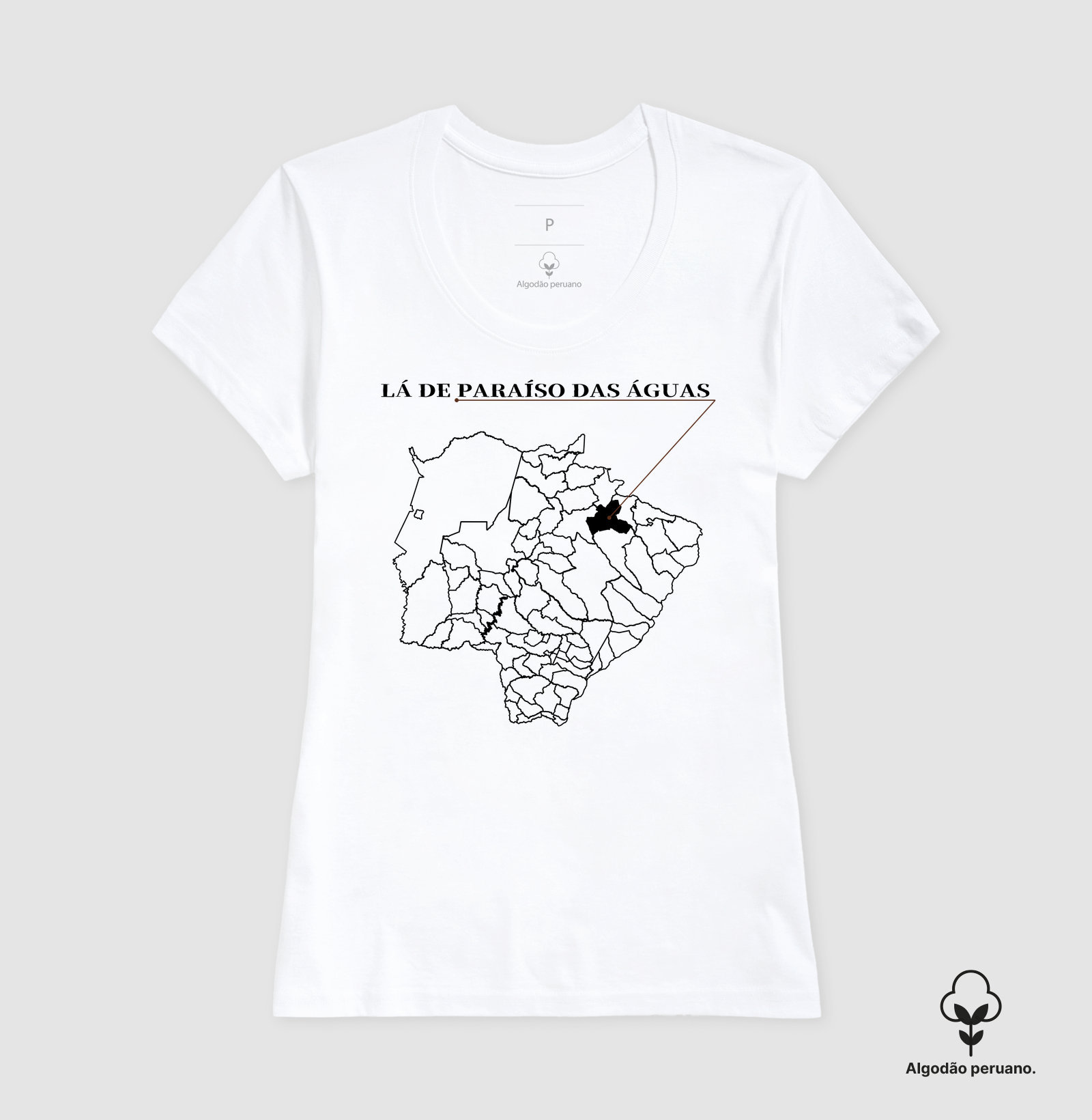 Paraíso das Águas | Origem MS - Imagem 6