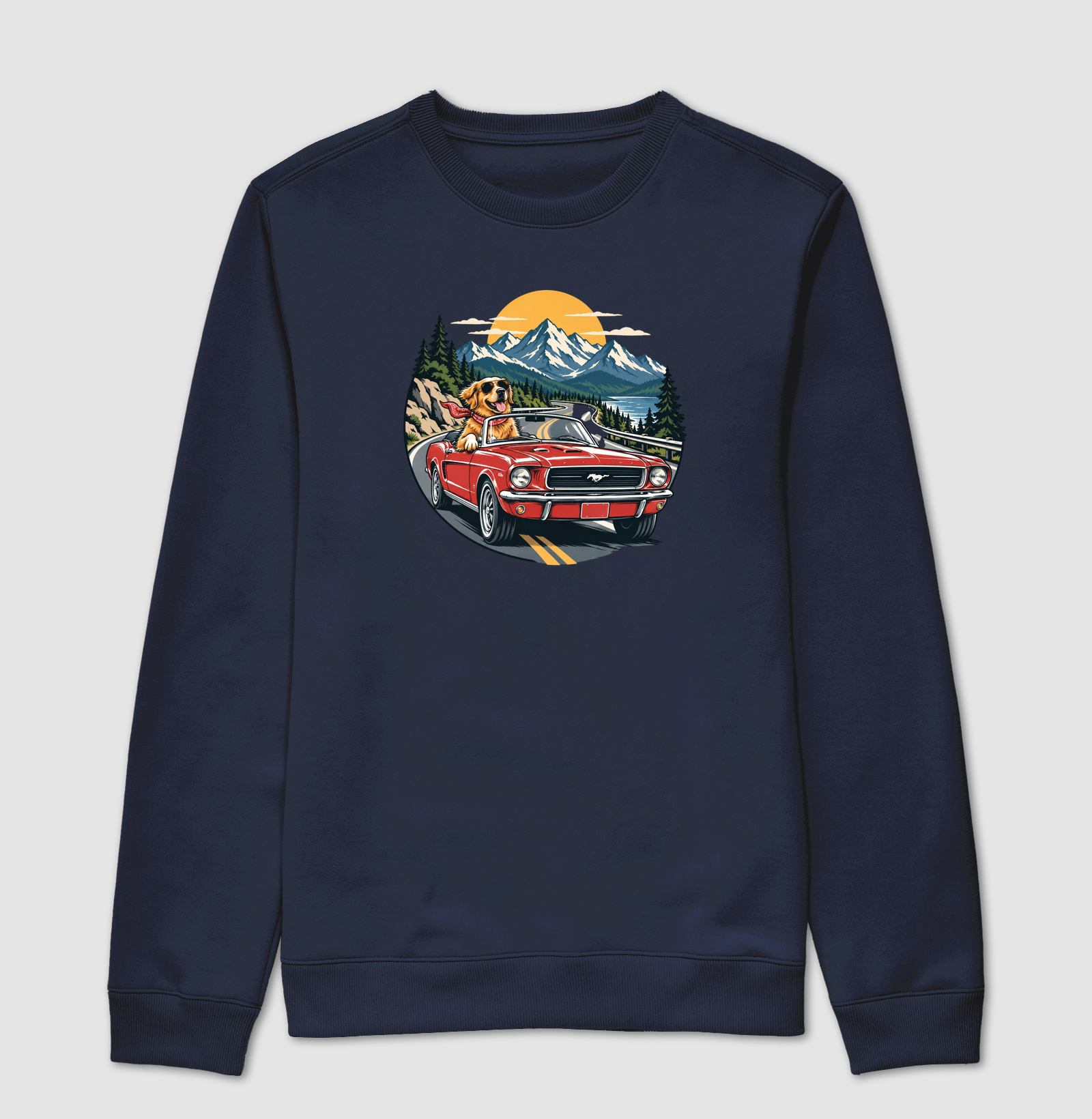 Road Trip - Imagem 5