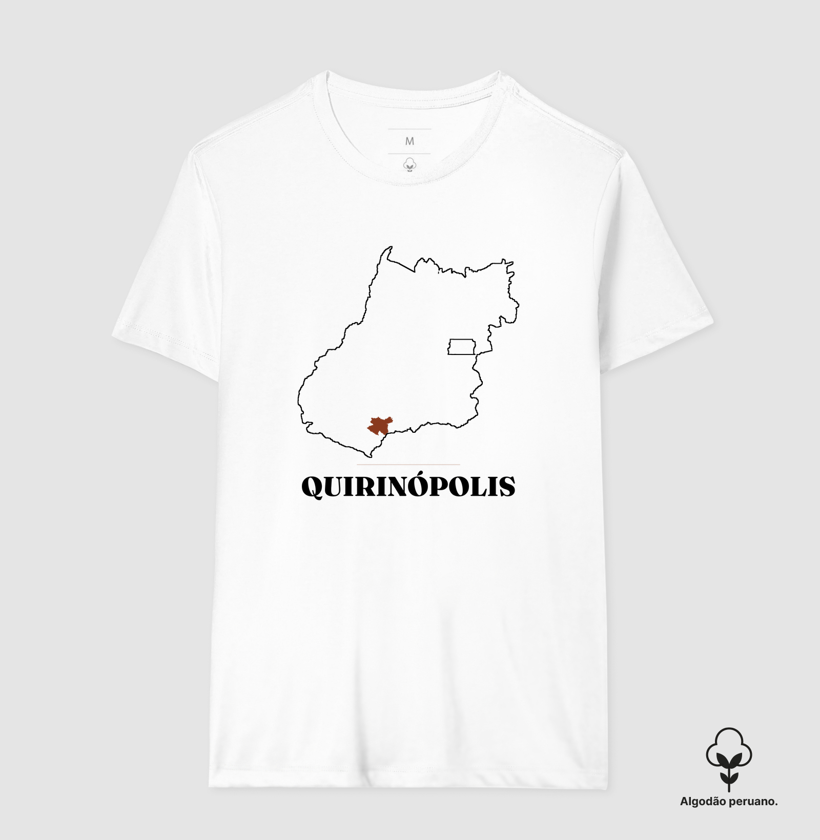 Quirinópolis | Traço GO - Imagem 6