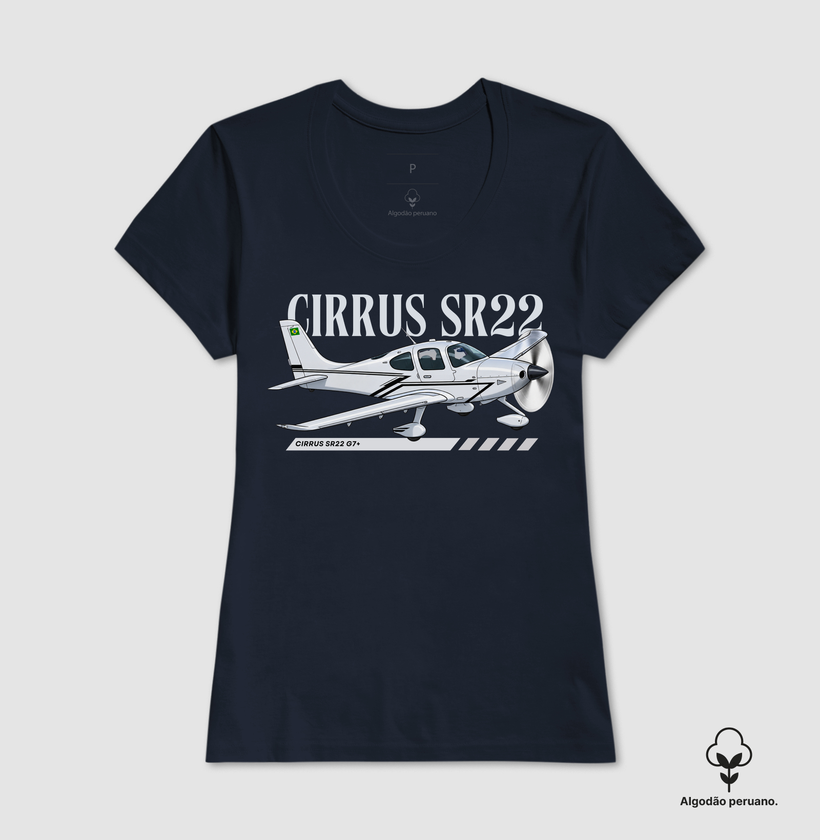 Cirrus SR22 G7+ - Imagem 8