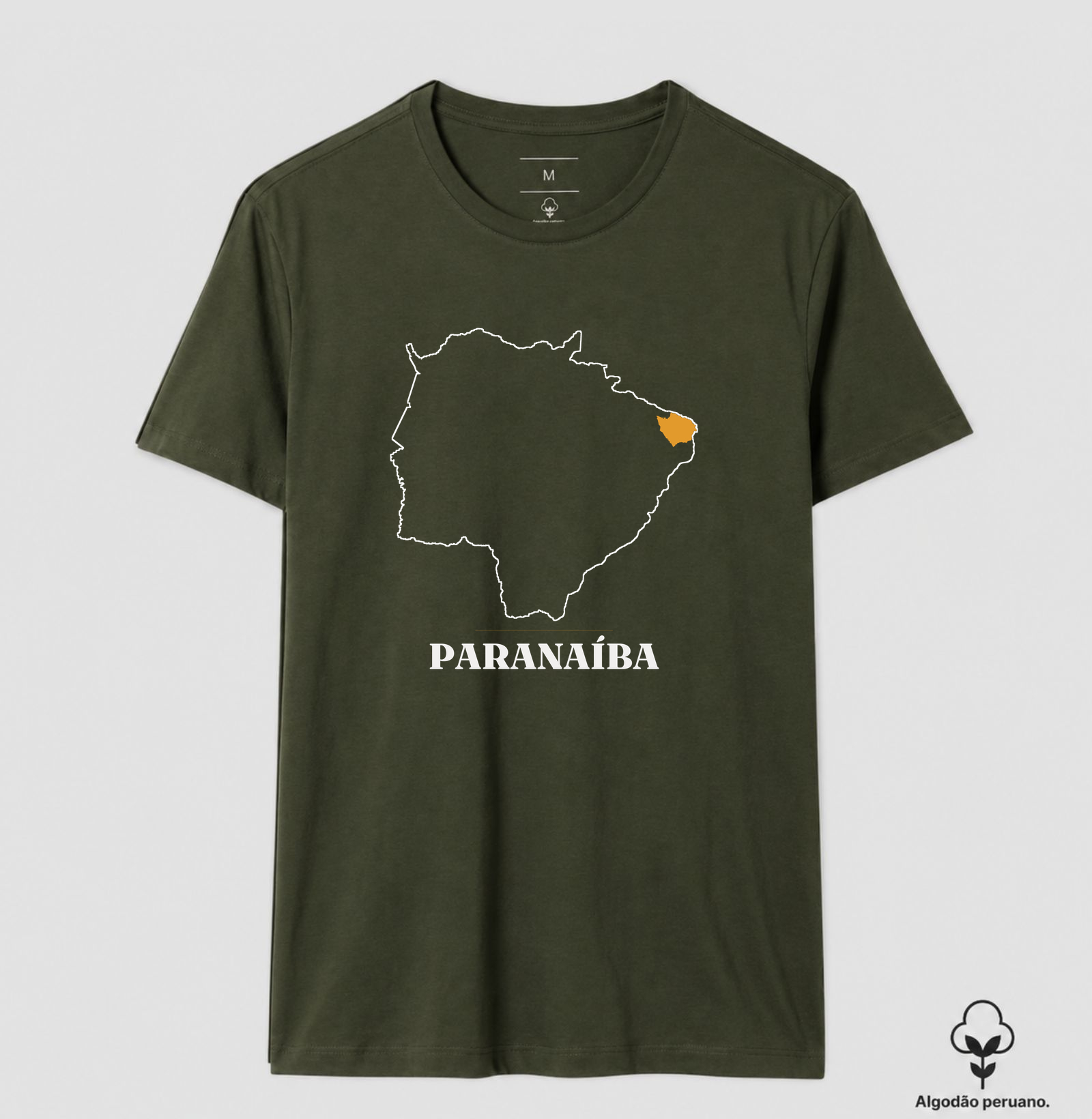 Paranaíba | Traço MS - Imagem 8