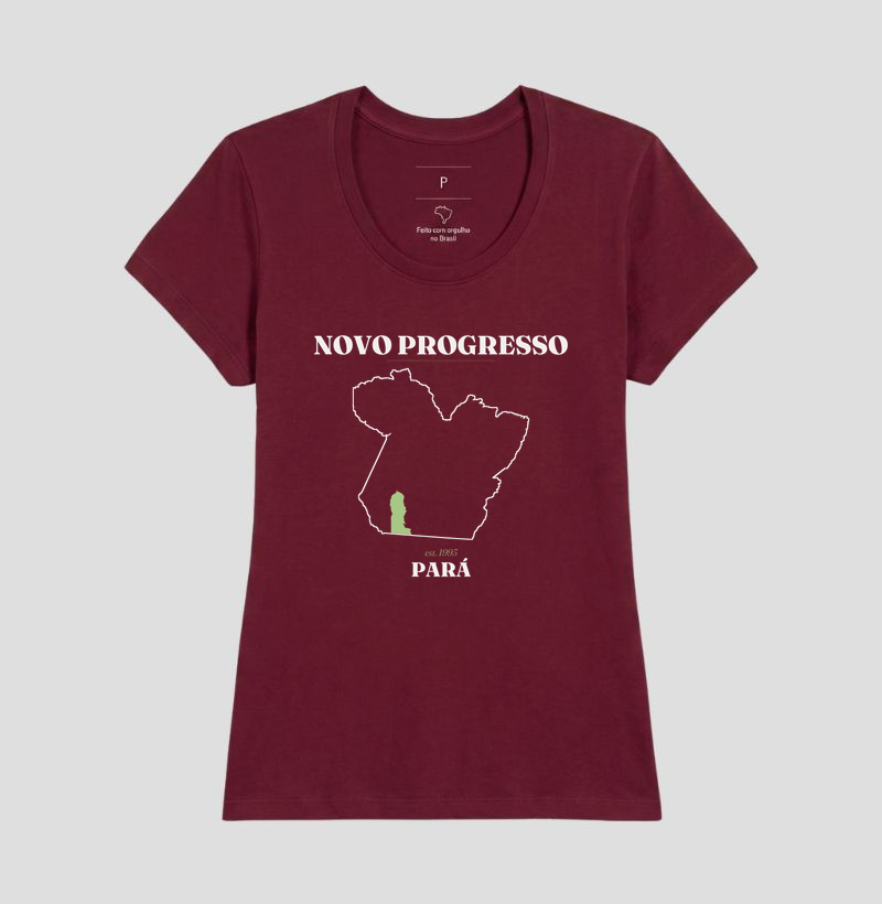 Novo Progresso | Legado PA - Imagem 19