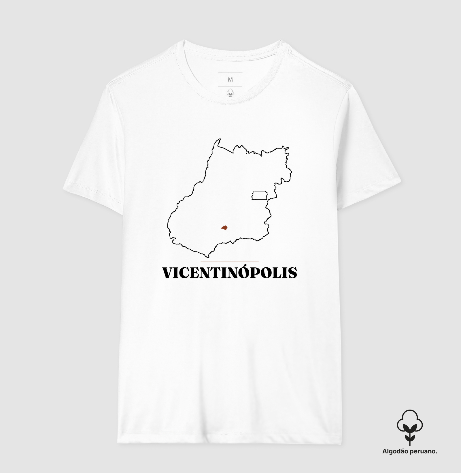 Vicentinópolis | Traço GO - Imagem 7