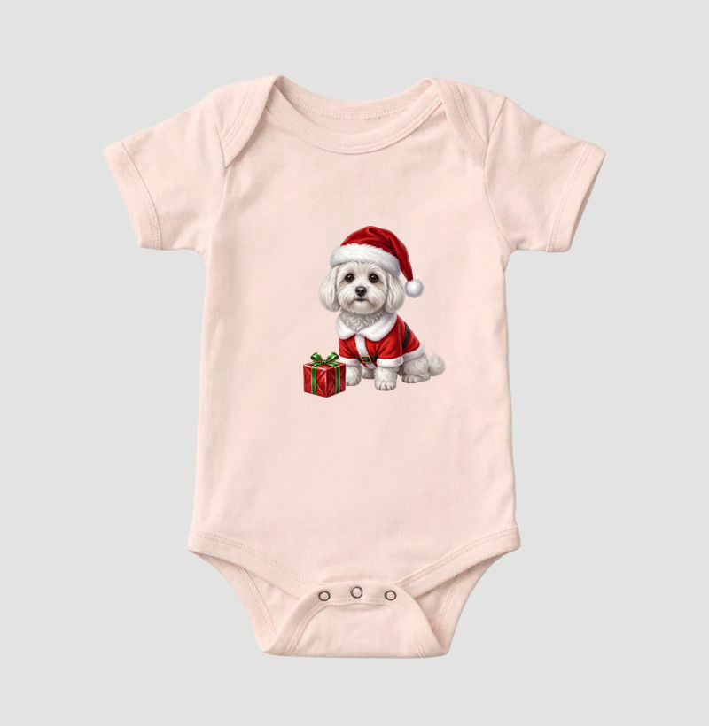 Bichon Bolonhês - Natal - Imagem 5