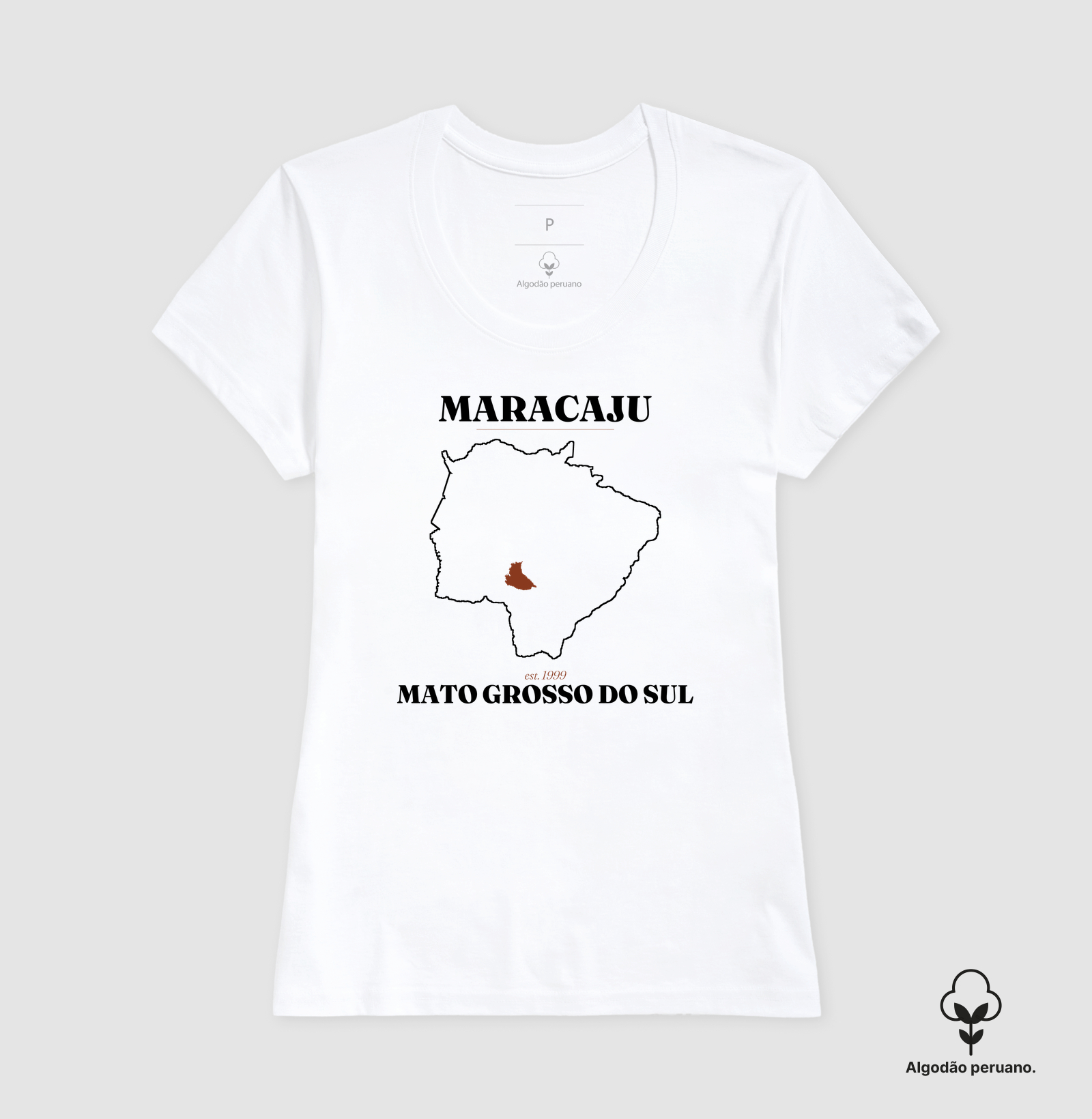 Maracaju | Legado MS - Imagem 7