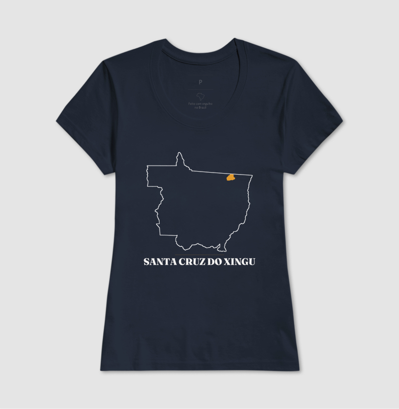 Santa Cruz do Xingu | Traço MT - Imagem 7
