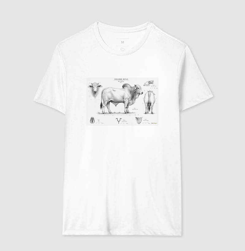 Nelore Bull Anatomia | I Am Agro - Imagem 5