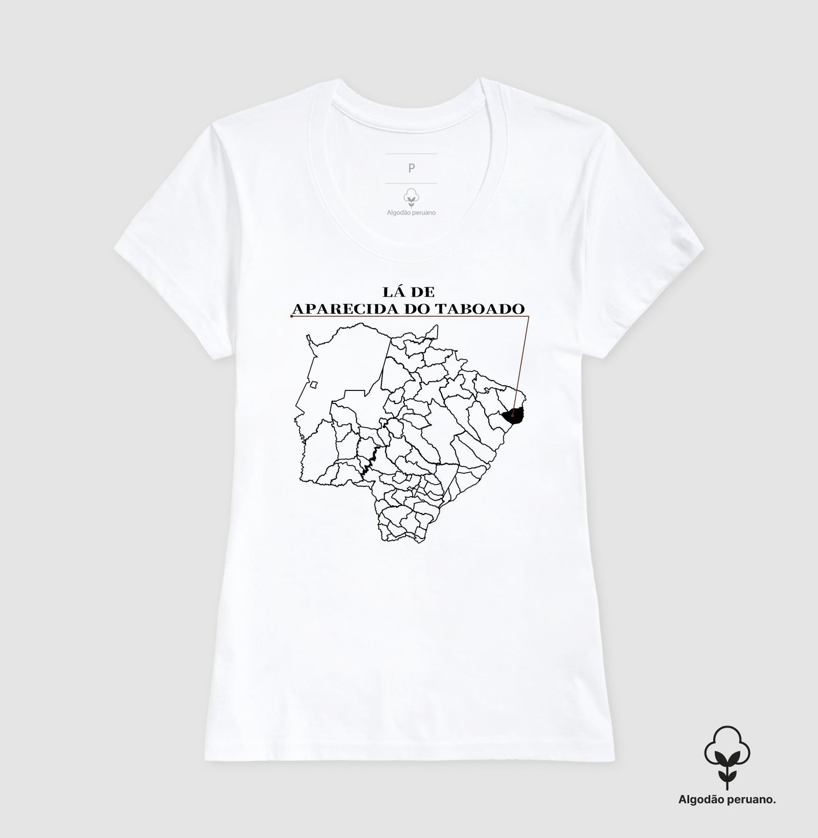 Aparecida do Taboado | Origem MS - Imagem 6