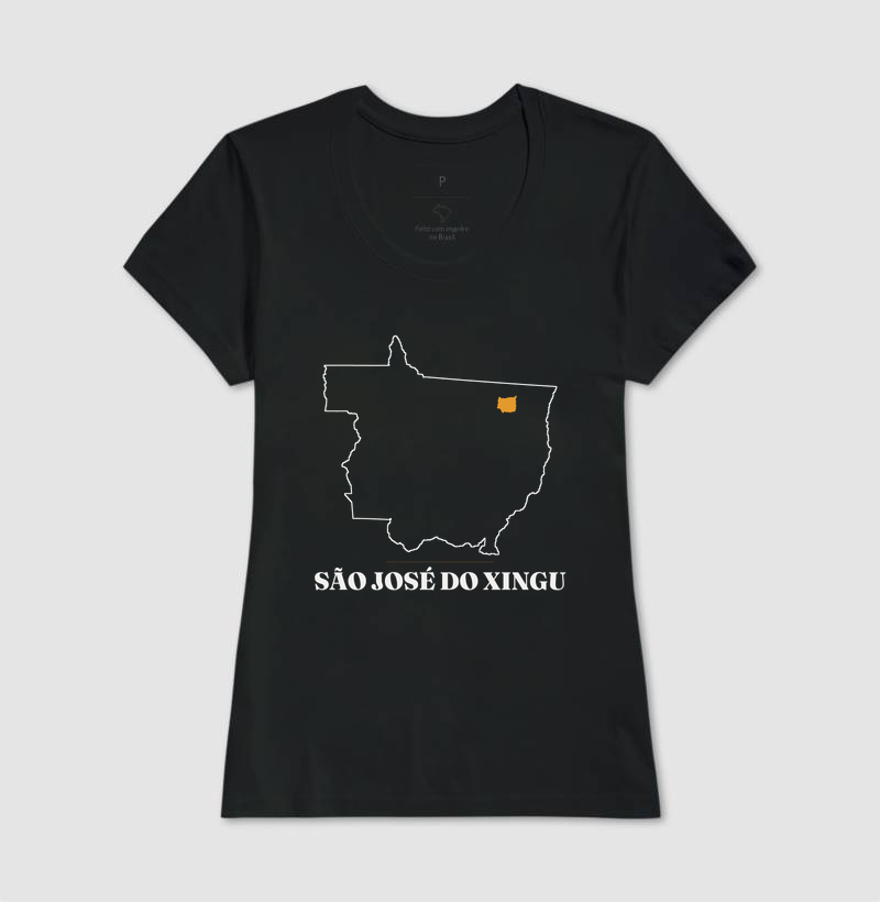 São José do Xingu | Traço MT - Imagem 3