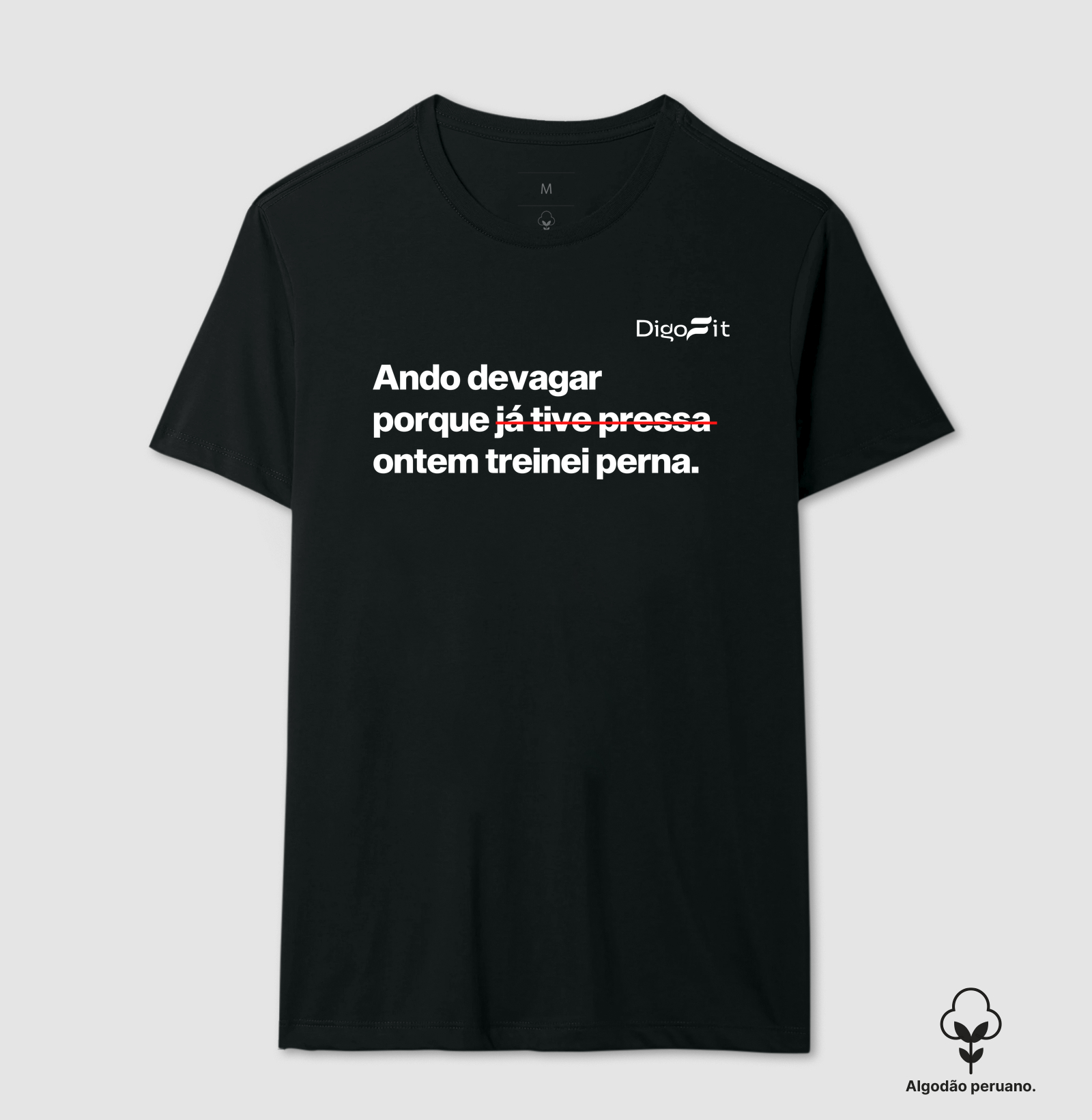 CAMISETA ALGODÃO PERUANO ACADEMIA ONTEM EU TREINEI PERNA - Imagem 5