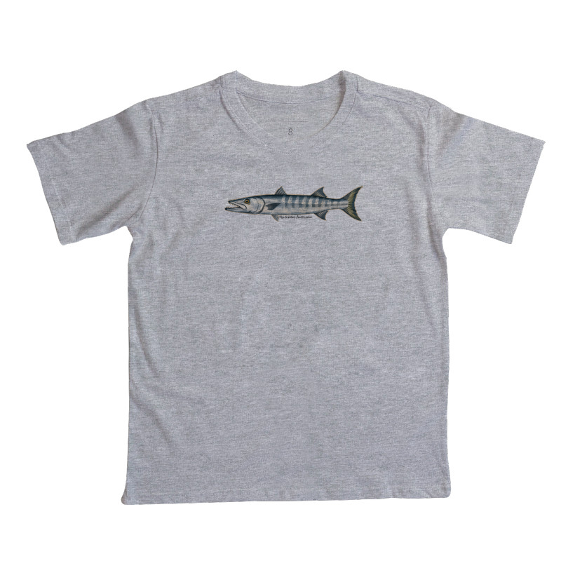 Barracuda - Imagem 7